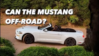 Taking My Brand New Mustang Offroading [upl. by Iroj]