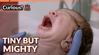 Heart Stopping Premature Birth Story  24 Hour Baby Hospital [upl. by Manheim]