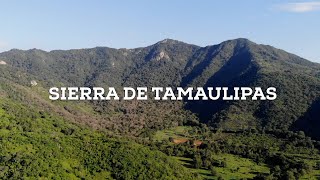 Explorando la naturaleza virgen de la Sierra de Tamaulipas [upl. by Ricarda]