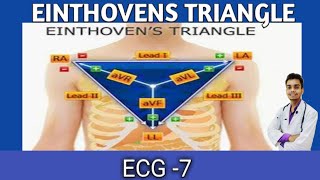 ECG 7  EINTHOVENS TRIANGLE EINTHOVENS LOW IN HINDI ECG PART 7ECG BASICS [upl. by Adnarram]