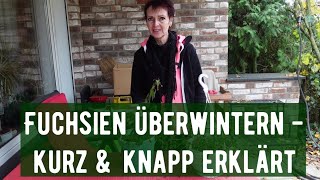 Fuchsien überwintern  kurz und knapp erklärt [upl. by Canice]