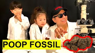 Poop Fossil Coprolite under the Microscope [upl. by Bledsoe]