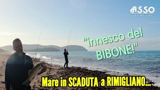 Surfcasting Mare in Scaduta su Spiaggia Profonda Rimigliano [upl. by Scrivens490]