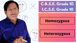 Difference between Homozygous amp Heterozygous  BSc amp MSc Level [upl. by Marja891]