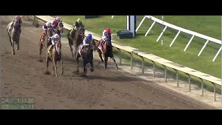 The Grade 1 Haskell Stakes 2023  Race Replay  widescreen edition [upl. by Charity144]