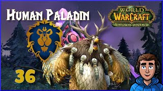 Lets Play World of Warcraft  Part 36  Ammen Vale  Alliance Paladin [upl. by Rosie]