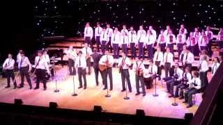 Finalists Concert 2014  Borris Vocational School Co Carlow [upl. by Renee375]