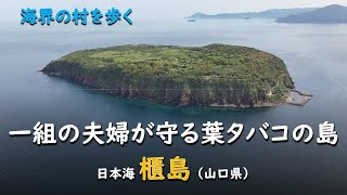 一組の夫婦が守る葉タバコの島／海界 日本海 櫃島（山口県） [upl. by Aisinut781]