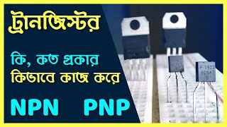 ট্রান‌জিস্টর কি এবং কিভা‌বে কাজ ক‌রে কত প্রকার ও কি কি how does NPN amp PNP transistor work [upl. by Mabelle334]