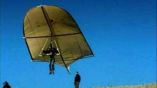 Leonardo da Vinci Glider  reality test Rate My Science [upl. by Turpin]