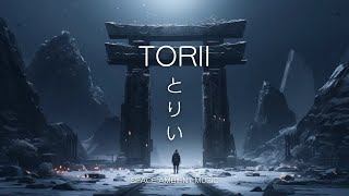 TORII  Space Ambient Music  Relaxing Music  Sleep Music  1 Hour Loop [upl. by Marmaduke]