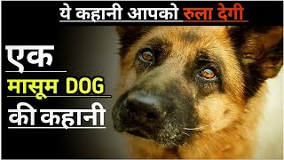 Story of Dog  movie Explained in hindi  The story of Palma‎bhuvneshmotivation [upl. by Lesh792]