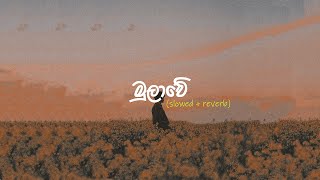 Mulawe  මුලාවේ Slowed  reverb [upl. by Carissa]