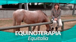 EQUINOTERAPIA 11  Equitalia [upl. by Arne]