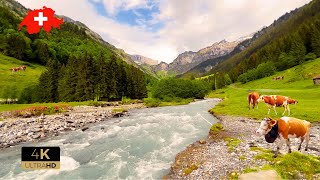 🇨🇭 Most Beautiful Places In Switzerland Lauterbrunnen Grindelwald Mürren Relaxing Walk 4K [upl. by Ytsim839]