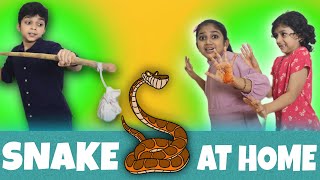 Snake at home🤣  Funny series  Minshasworld [upl. by Nalda]