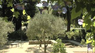 Mediterranean Landscape Design [upl. by Enerak]