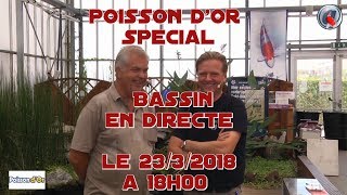 Poisson dor spécial bassin en directe le 2232018 a 18h00 [upl. by Mosra]