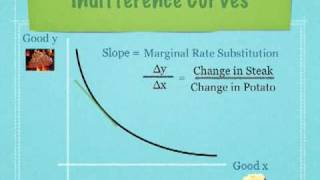 Introduction to Indifference Curves and Budget Lines Economics [upl. by Yelkrab]