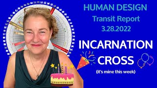 HUMAN DESIGN Transit Report  Its My Incarnation Cross [upl. by Louisa]