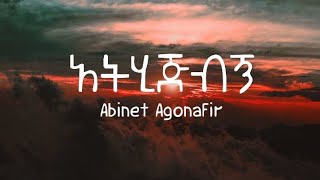 አብነት አጎናፍር  አትሂጅብኝ  Abinet Agonafir  Athijibgne Ethiopian music lyrics video [upl. by Nnaecarg]