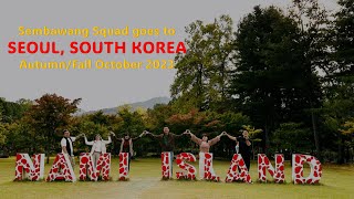 5day Itinerary to Seoul South Korea AutumnFall October 2023 [upl. by Sneed]