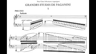 Liszt Grandes études de Paganini S141 Guarrera Raekallio [upl. by Aciemaj]