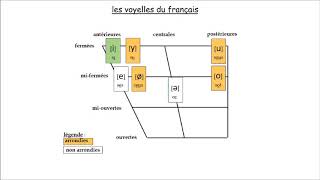 Les voyelles phonétiques du français [upl. by Lebezej]