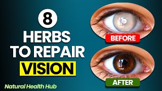 8 Herbs to Protect Eyes and Repair Vision [upl. by Fokos]