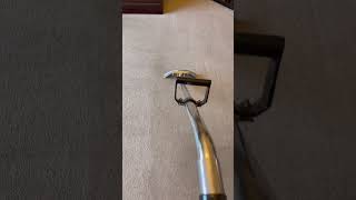 Satisfying carpet cleaning double vacuum extractor test day carpet washing Mr Sofa Kinsale [upl. by Oatis944]