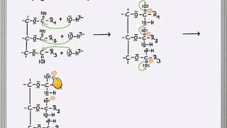 Verseifung Reaktionsmechanismus [upl. by Zared]