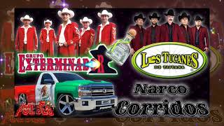 Narco Corridos Chingones ✴️ Grupo Exterminador 💥Los Tucanes De Tijuana [upl. by Marchelle]