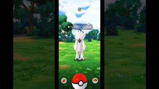 Catching Furfrou in Pokemon GO Indonesia  Shorts [upl. by Anafetse]