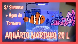 Aquário Marinho NANO 20 Litros com Hang On e SEM Skimmer usando Água da Torneira [upl. by Jennifer]