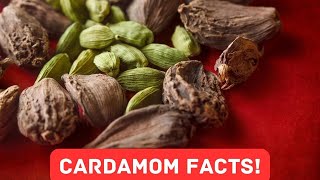 14 Fascinating Facts About Cardamom [upl. by Samp185]