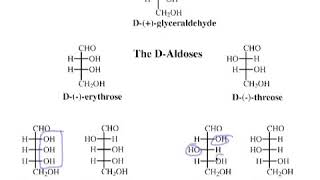 82 Carbohydrates Structure amp Stereochemistry  Aldose Nomenclature Epimers amp Cyclization [upl. by Eldwon207]