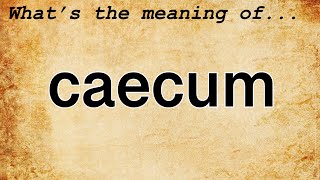 Caecum Meaning  Definition of Caecum [upl. by Toshiko]