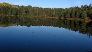 Wolves howling in Algonquin Park [upl. by Saidee874]