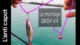 Carnassier le montage la technique le fish lanti capot pêche aux vifs peche drop shot drop vif [upl. by Assirem940]