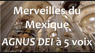 AGNUS DEI – Messe à 5 voix avec violon de Manuel de Sumaya Mexique – NotreDame de Guadalupe 2023 [upl. by Ainaled]