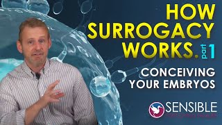 STEP 1 IVF and Conceiving Embryos for Surrogacy How Surrogacy Works [upl. by Lankton]