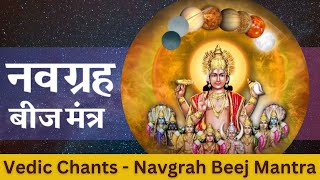 Navgrah beej Mantra  नवग्रह बीज मंत्र  Navagraha Suktam  Navagraha Shanti Mantra [upl. by Nyla140]