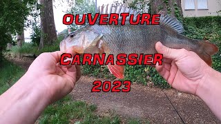 Ouverture Carnassier 2023 Pêche Urbaine Toulouse [upl. by Tarryn]