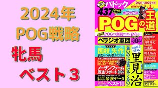 【POG】ドラフト直前情報「牝馬のベスト3」大発表！【POGの王道】 [upl. by Airdnna713]