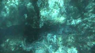 World Famous Glass Bottom Boat tours at Silver Springs Florida part 1 [upl. by Okika]