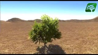 Released Assets In Unity3d  Realistic Bush Plant [upl. by Fleurette]