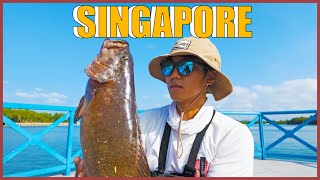 MY FIRST BIG PRIZED FISH SINGAPORES SOUTHERNMOST ISLAND BEYOND SENTOSA [upl. by Evita809]