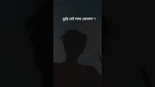 Srotoshini Lyrics Lofi 🖤🦋  ENCORE  Lyrics  স্রোতস্বিনী ✨ fypシ lyrics music hitsong [upl. by Spears]