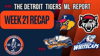 Tigers Minor League Report Week 21 Recap The stretch run begins [upl. by Ajna]