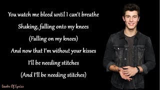 Shawn Mendes  STITCHES Lyrics [upl. by Aromas]